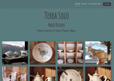 page accueil terrasolo.fr